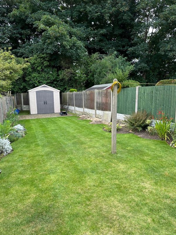 Striped lawn leading to a pale shed, with a mixed border and fence on the right and tall trees behind