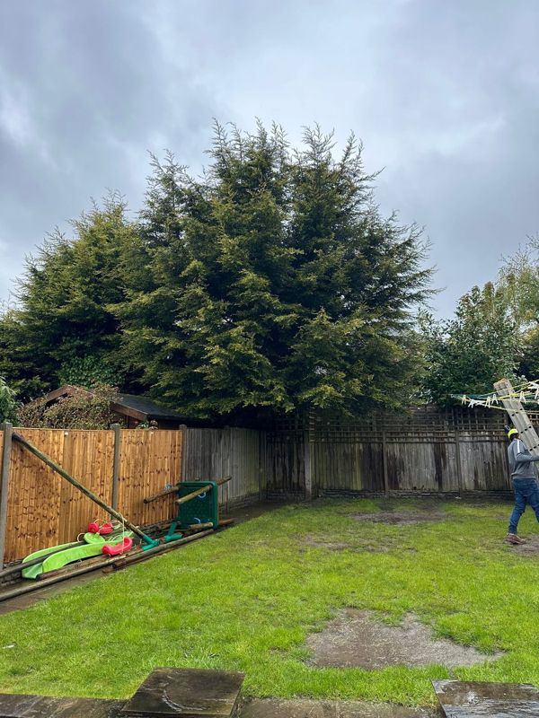Large dense conifers behind the fence at the end of a garden, with play equipment stacked against the fence