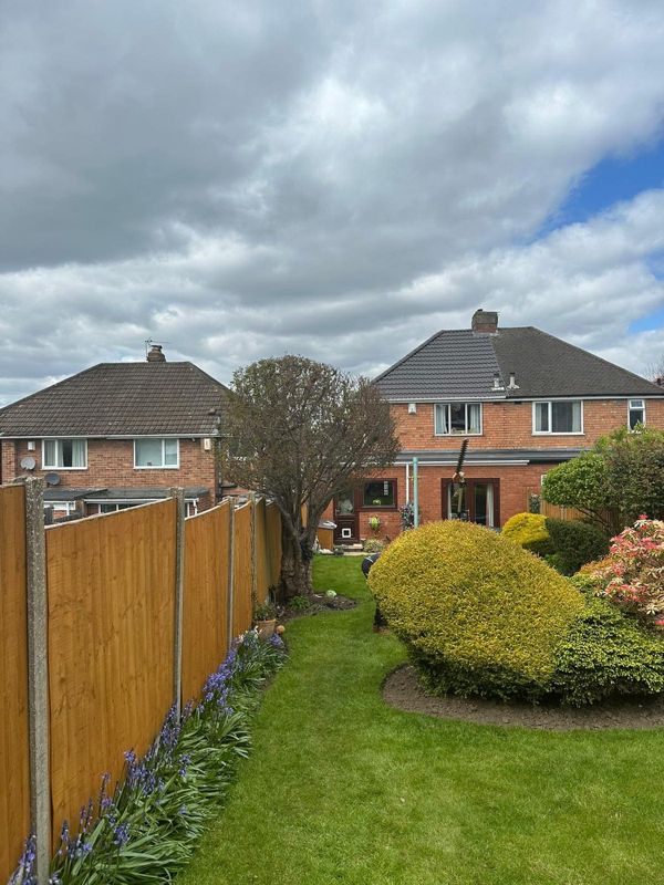 Back garden of a semi-detached house with a bare tree beside a tall fence, a trimmed shrub and bluebells