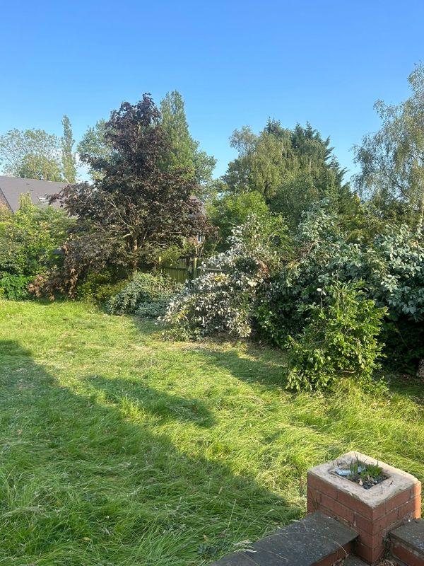 Long grass lawn with shrubs and a dark purple-leaved tree beneath a bright blue sky