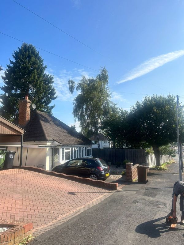 Bungalow with a block-paved drive, a tall conifer, a birch and other trees under overhead cables