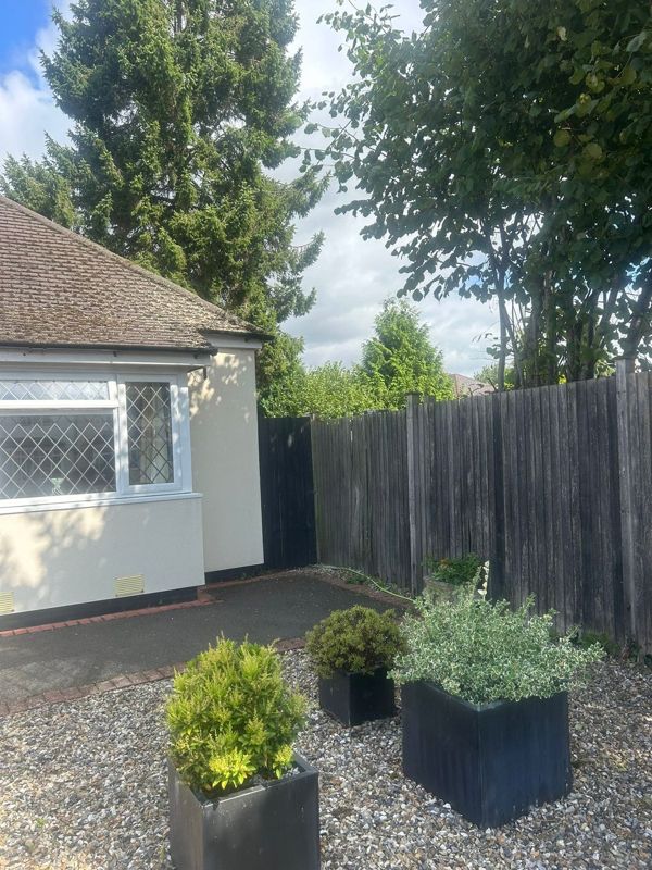 Gravel garden with black planters beside a bungalow, with a tall conifer and a leafy tree behind