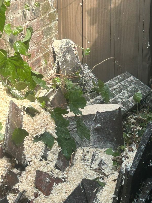 Sawdust and cut sections of wood piled against an ivy-covered brick wall