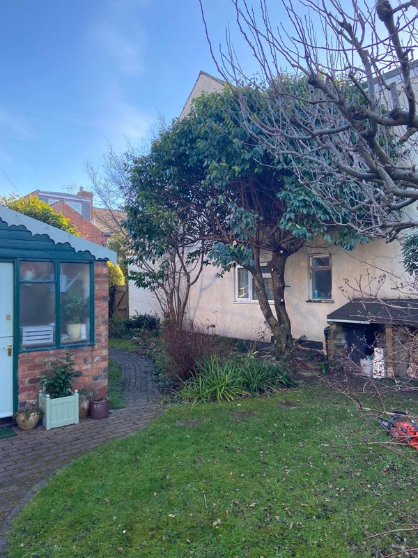 Dense evergreen tree beside a white rendered house, a brick path and a small porch