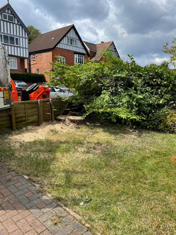 Front garden lawn with a low cut stump and sawdust, a wood chipper and houses behind