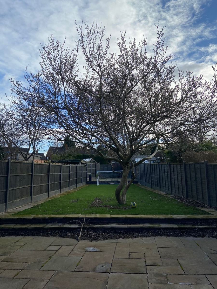 Tree Pruning in Droitwich