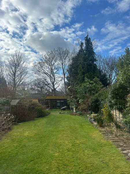 Long mown lawn between borders leading to a garden building with tall trees behind it