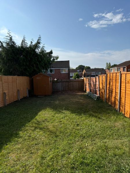 Back garden lawn between new fence panels and a shed, with a small bare patch at the far end