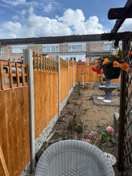 Close-board fence with trellis tops beside gravel garden, with a wicker chair and pink roses in the foreground