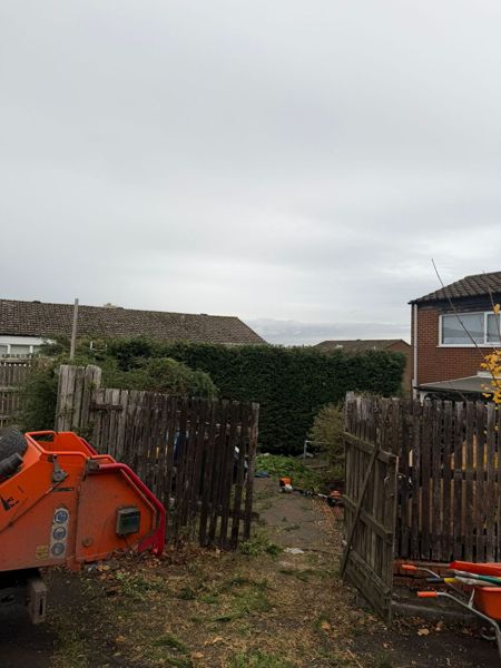 Orange wood chipper by a wooden gateway with a lower hedge behind the fences