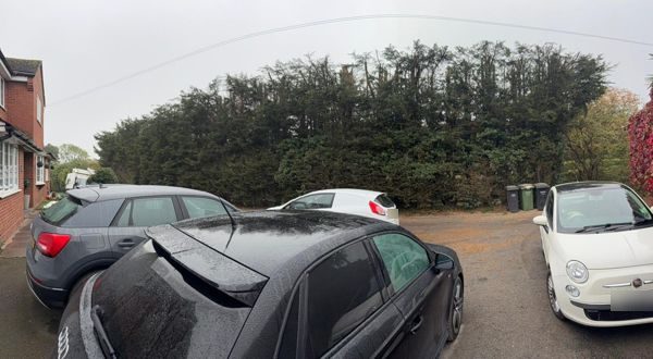 Cut-back conifer hedge with stubby tops beside a driveway and parked cars under overhead cables