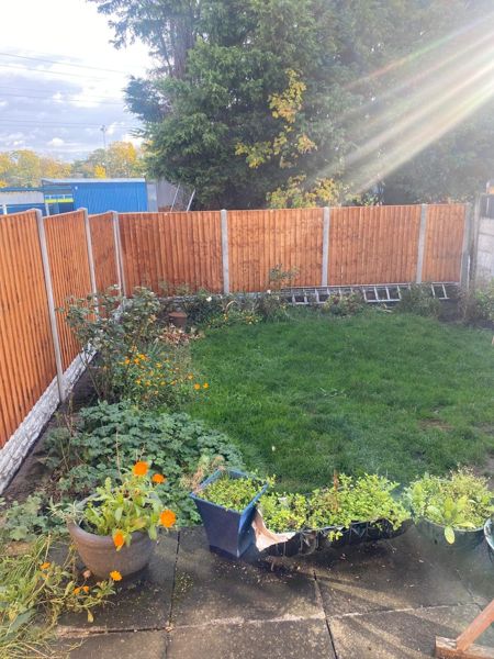 New fence panels behind a lawn and flower border, with tall trees above