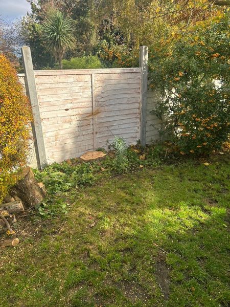 Garden corner by a wooden fence showing a low cut stump, stacked logs and a lawn in sunshine