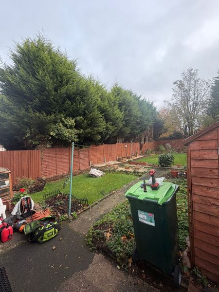 Garden seen from the patio with tool bags and ropes, a green bin and tall conifers beyond the fence