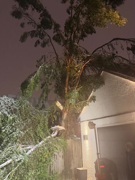 Night view of a tree beside a garage with a broken limb lying across a hedge and fence