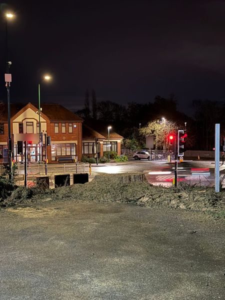 Night view of a low conifer stump and cleared ground beside traffic lights at a junction