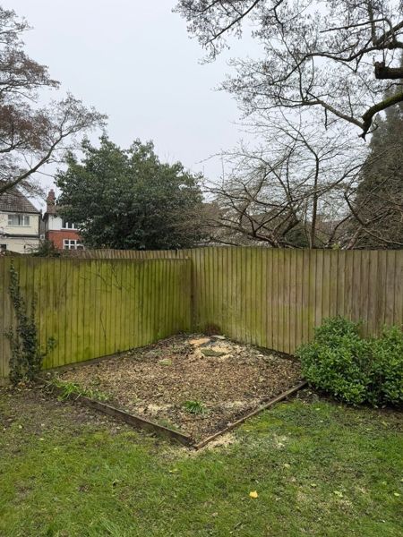 Empty corner of a garden with wood chip and sawdust between two green close-board fences
