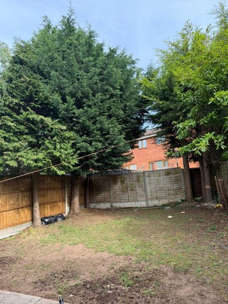 Tall conifers beside wooden fences at the end of a lawn with a house behind