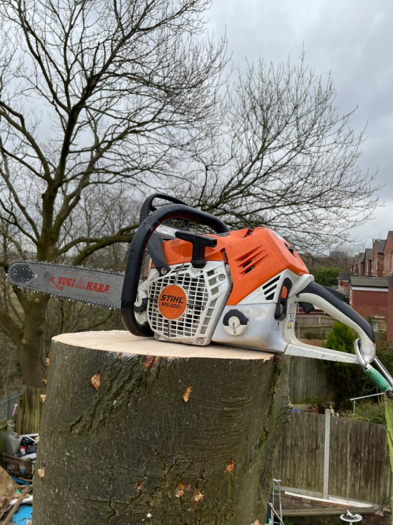 Tree Surgery Hockley Birmingham