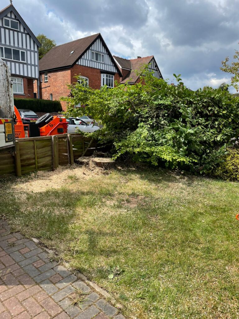 tree surgery birmingham