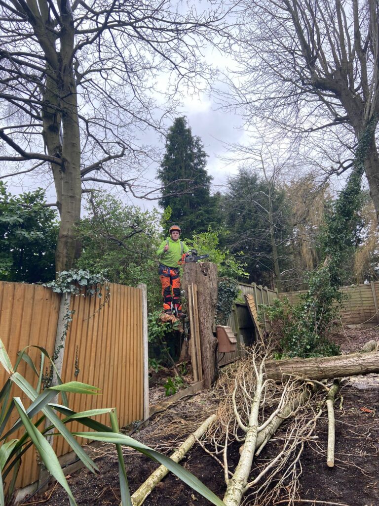 tree Surgery Wednesbury