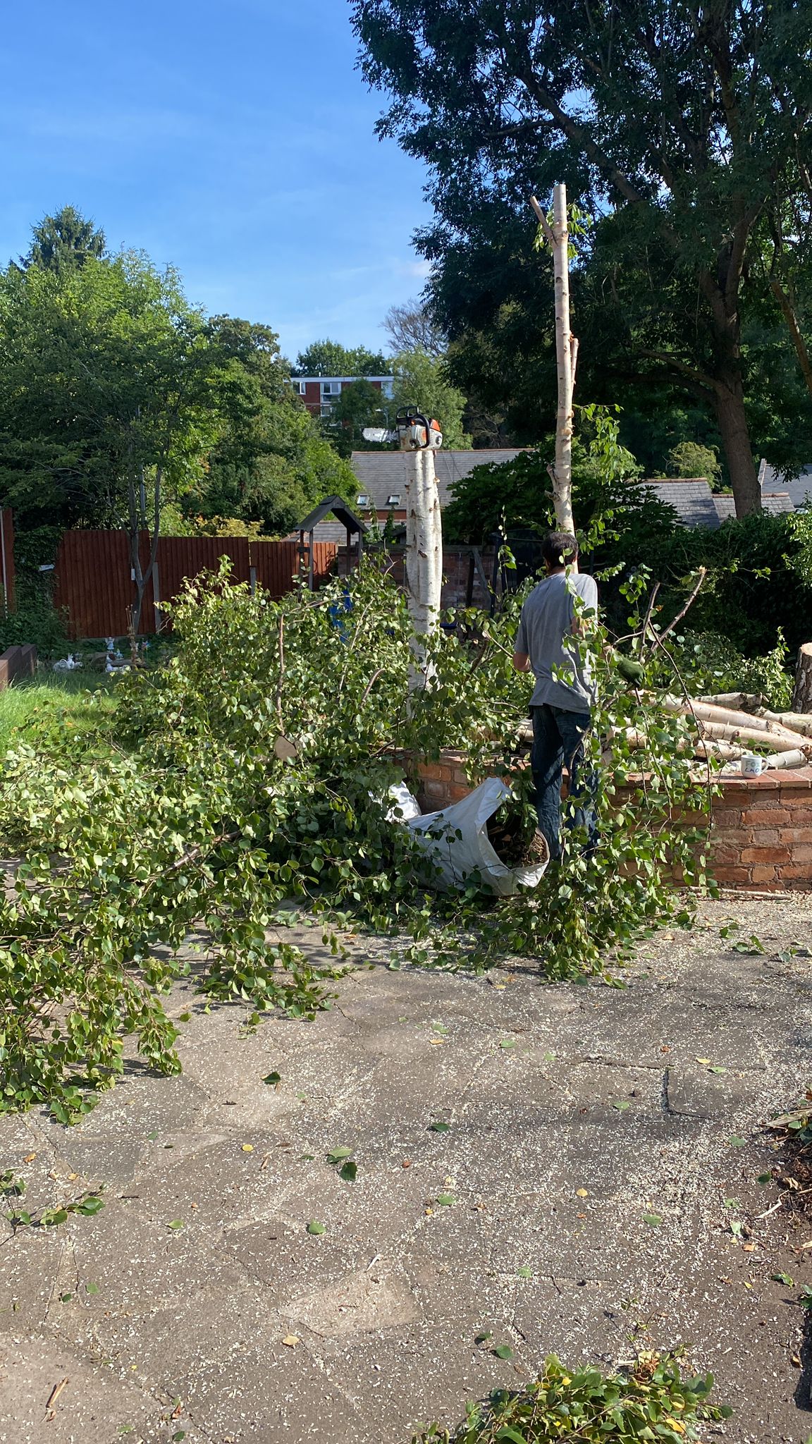 tree Felling stourport on Severn