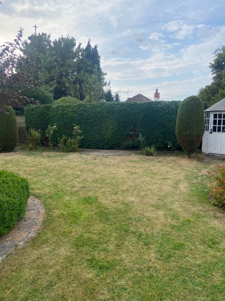 hedge reduction Birmingham