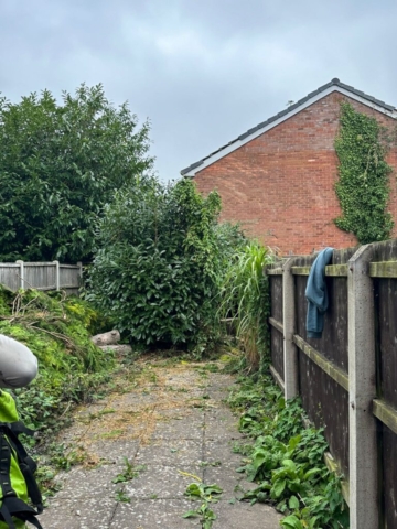 Tree felling hallgreen