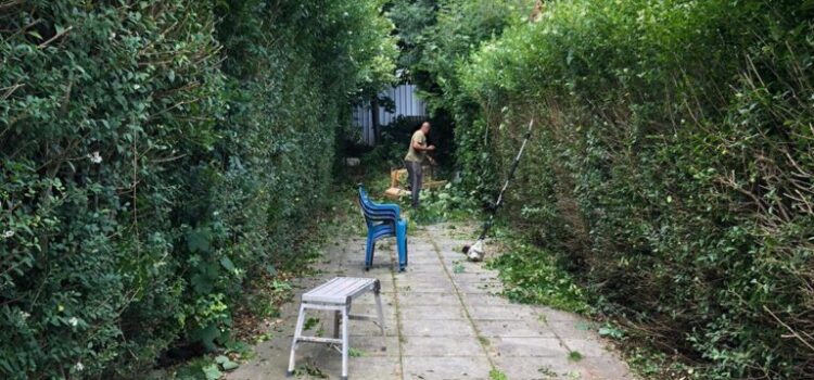 Hedge Cutting in Northfield