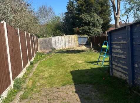 fir tree removal dorridge