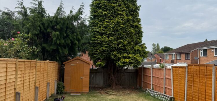 Fir tree removal birmingham