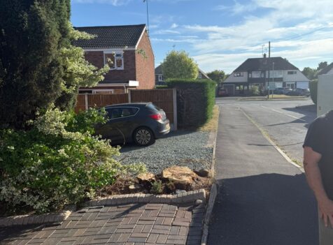 fir tree removal hallgreen