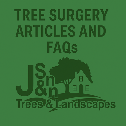 Choosing the Right Tree Surgeon in the West Midlands