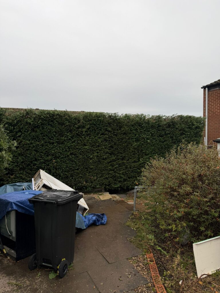 Hedge reduction Birmingham