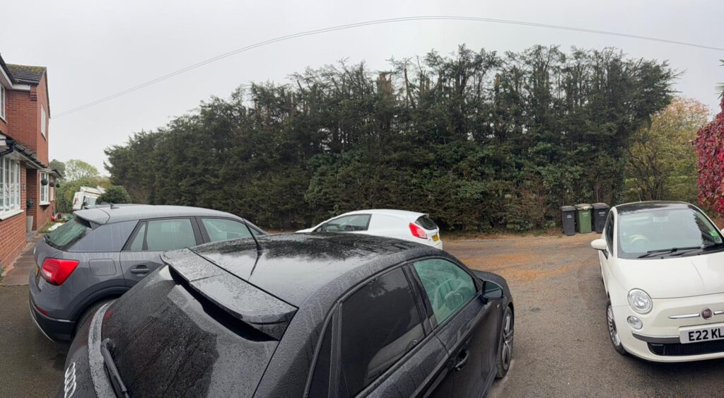 hedge reduction solihull