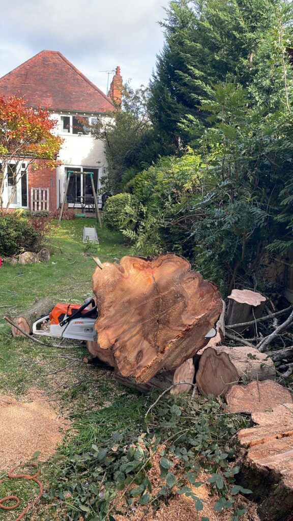 fir tree removal yardley