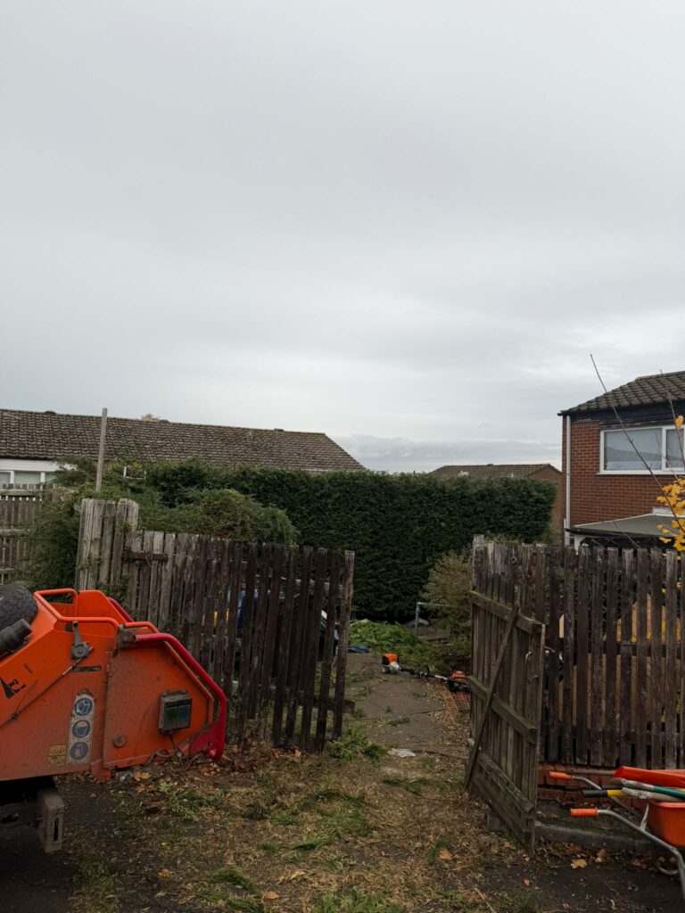 Hedge reduction Birmingham