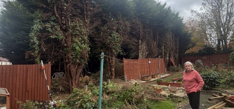 hedge reduction oldbury