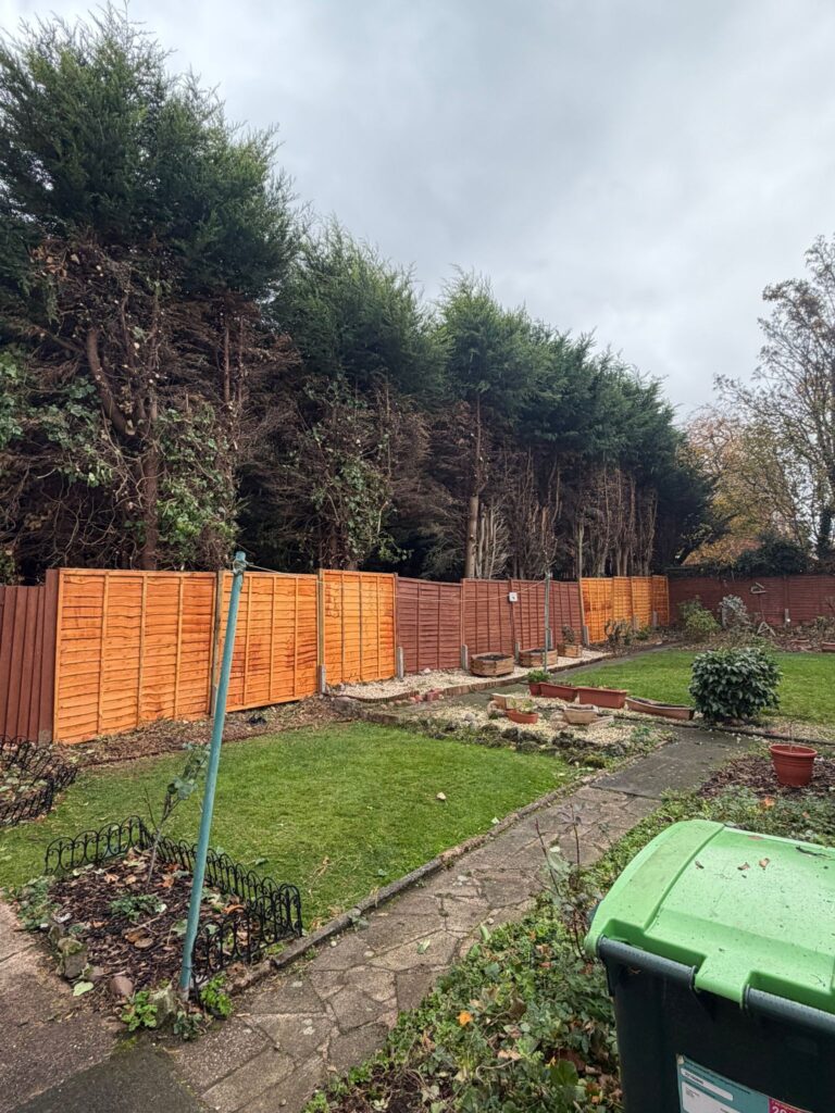 hedge reduction oldbury