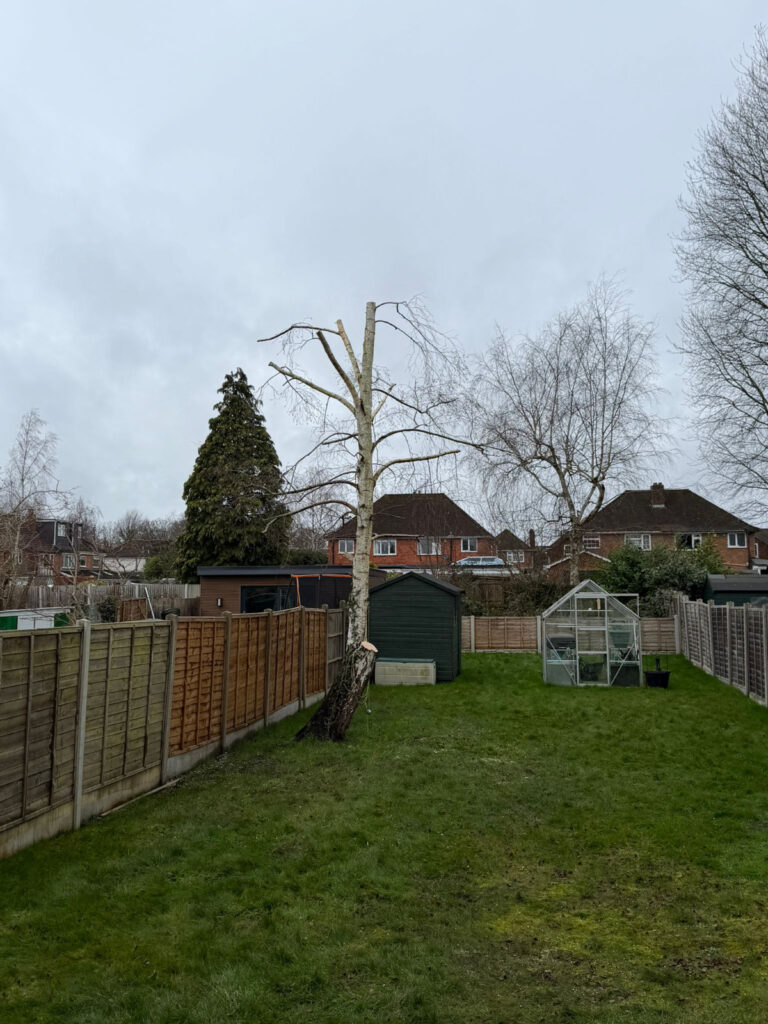 Tree Reduction in Shirley