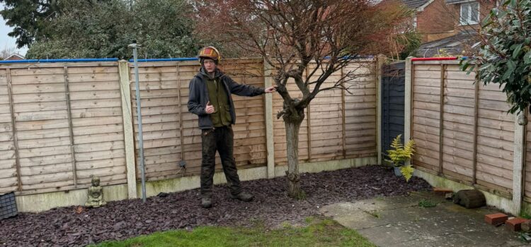 Tree Removal in Kidderminster