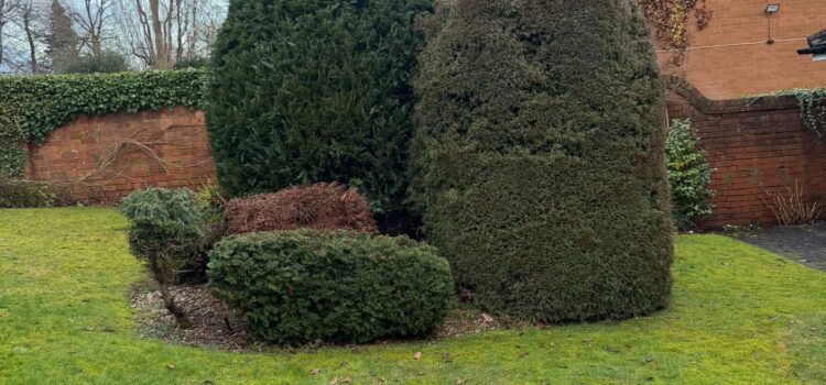 bushes removed in kidderminster