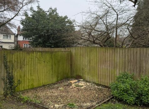 tree felling kidderminster