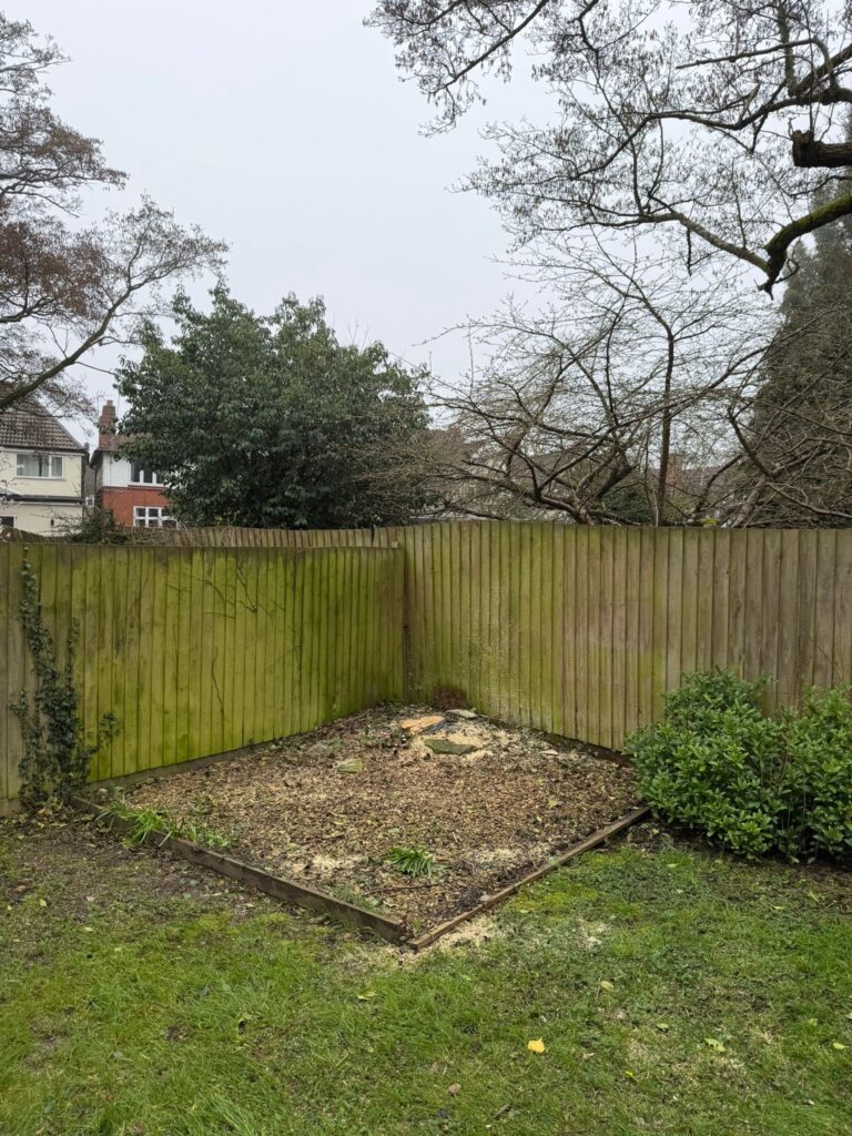 tree felling kidderminster