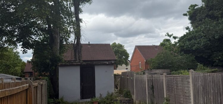 tree felling in Stourport-on-Severn