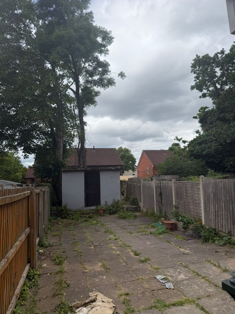 tree felling in Stourport-on-Severn