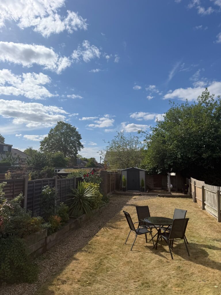 tree surgery hallgreen